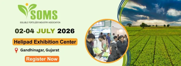 image1_45.png (768×280)